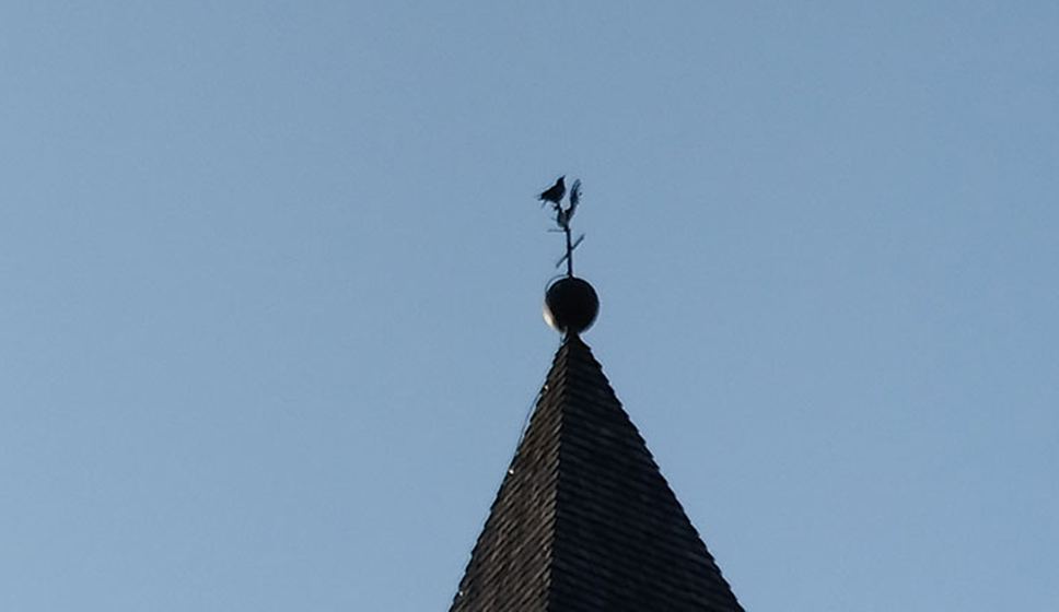 corvoCampanile