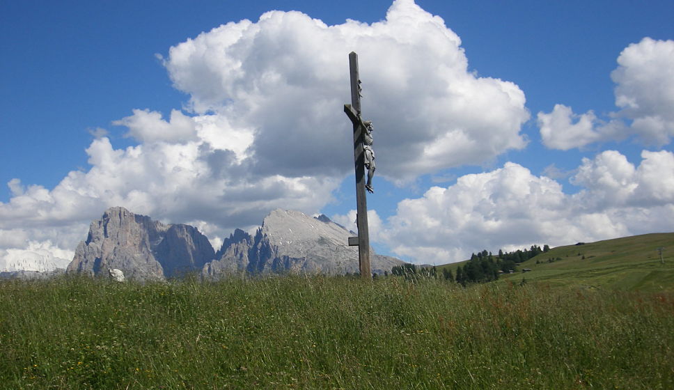 Grazie a chi ha posto qui l’albero della vita: Gesù è vivo, e tutto ciò che mi dà gioia è frutto del suo amore.